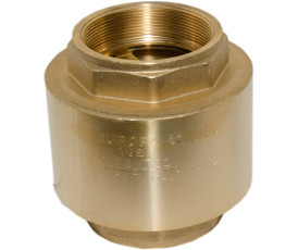 Зворотний клапан для води Bonomi Europa 3" (10000017)