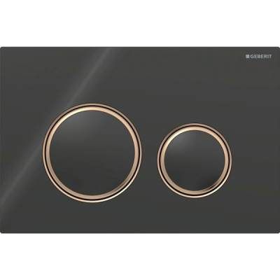 Смывная клавиша Geberit Sigma50 (ex Sigma21) для двойного смыва Round черный (115.650.SJ.1) Смывная клавиша Geberit Sigma50 (ex Sigma21) для двойного смыва Round черный (115.650.SJ.1)