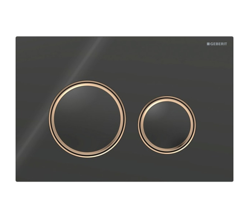 Смывная клавиша Geberit Sigma50 (ex Sigma21) для двойного смыва Round черный (115.650.SJ.1)