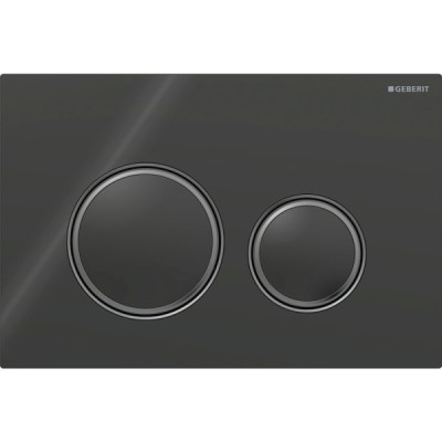 Смывная клавиша Geberit Sigma50 (ex Sigma21) для двойного смыва Round черный (115.651.SJ.1) Смывная клавиша Geberit Sigma50 (ex Sigma21) для двойного смыва Round черный (115.651.SJ.1)