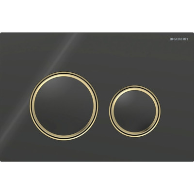 Смывная клавиша Geberit Sigma50 (ex Sigma21) для двойного смыва Round черный (115.652.SJ.1) Смывная клавиша Geberit Sigma50 (ex Sigma21) для двойного смыва Round черный (115.652.SJ.1)