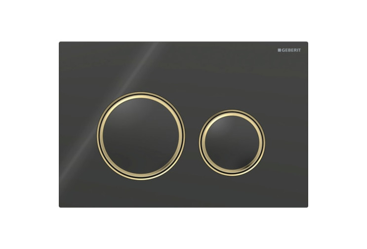 Смывная клавиша Geberit Sigma50 (ex Sigma21) для двойного смыва Round черный (115.652.SJ.1) 115.652.SJ.1