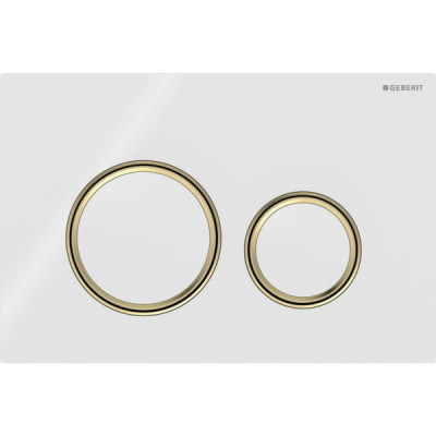 Смывная клавиша Geberit Sigma50 (ex Sigma21) для двойного смыва Round белый (115.652.SI.1) Смывная клавиша Geberit Sigma50 (ex Sigma21) для двойного смыва Round белый (115.652.SI.1)