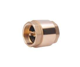 Зворотний клапан SD Forte 2" SF240W50