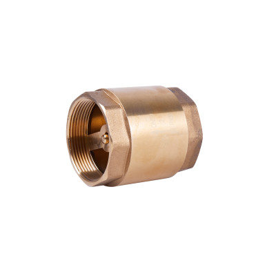 Зворотний клапан SD Plus з латунним штоком 2" SD240W50