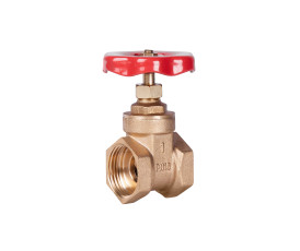 Задвижка SD Plus 1" ВР SD25025 Задвижка SD Plus 1" ВР SD25025