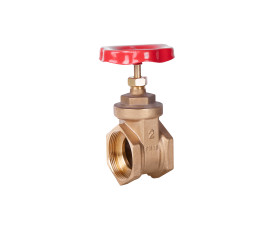 Засувка SD Plus 2" ВР SD25050