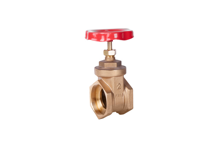 Засувка SD Plus 2" ВР SD25050 SD00004636