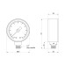 Манометр Icma 1/4" 0-6 бар, нижнє підключення №244 SD00006089